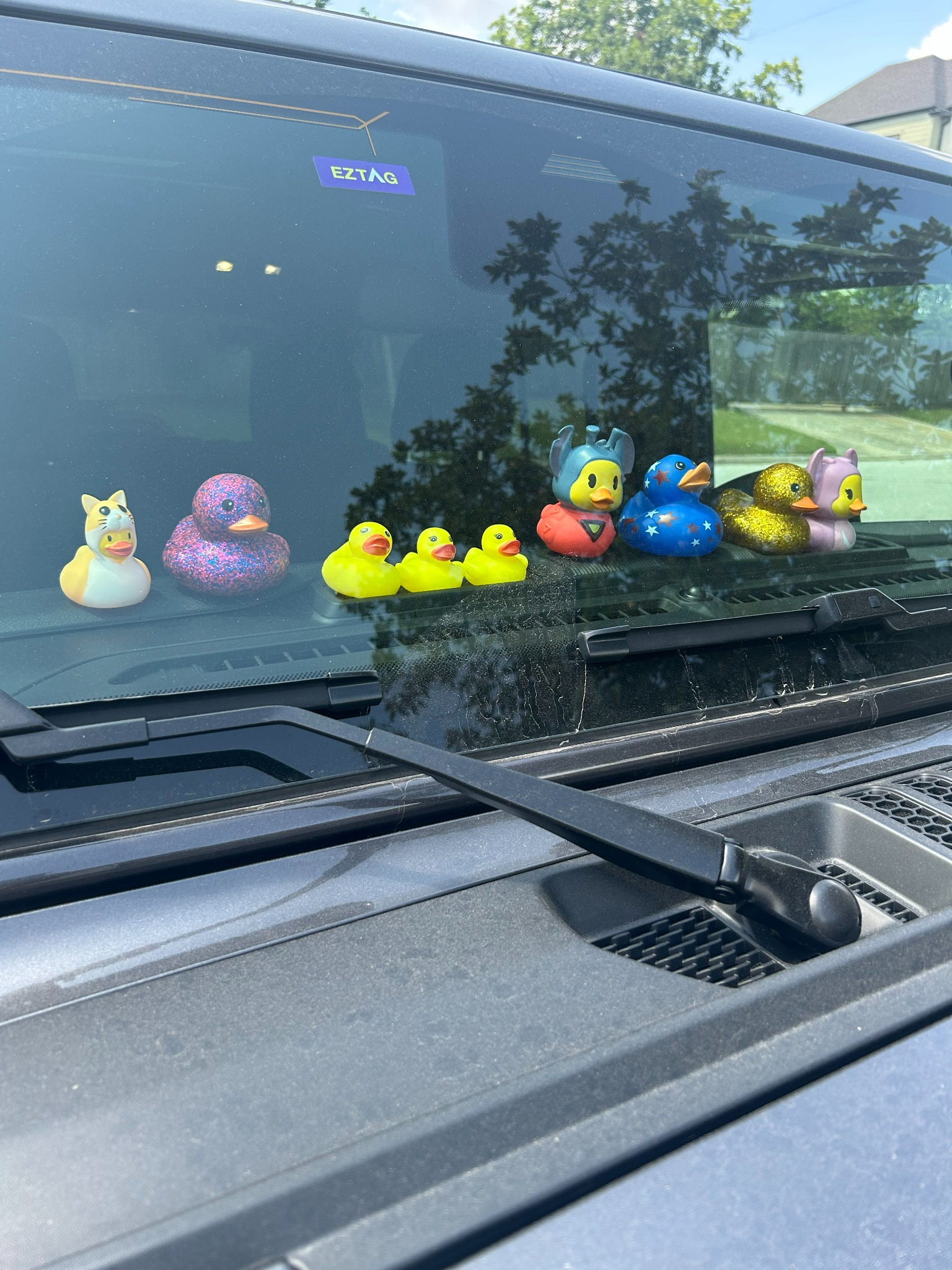 A row of dashboard ducks positioned to face outward through a Jeep windshield